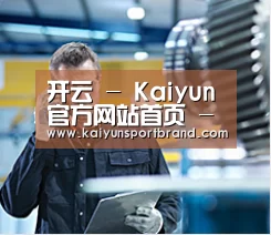 研发能力标题四(图1)