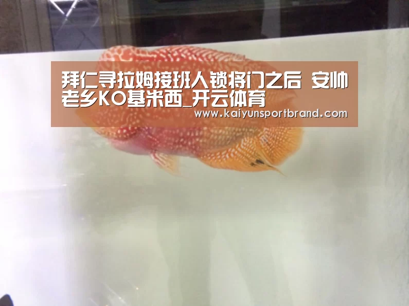 拜仁寻拉姆接班人锁将门之后 安帅老乡KO基米西_开云体育(图2) 开云娱乐