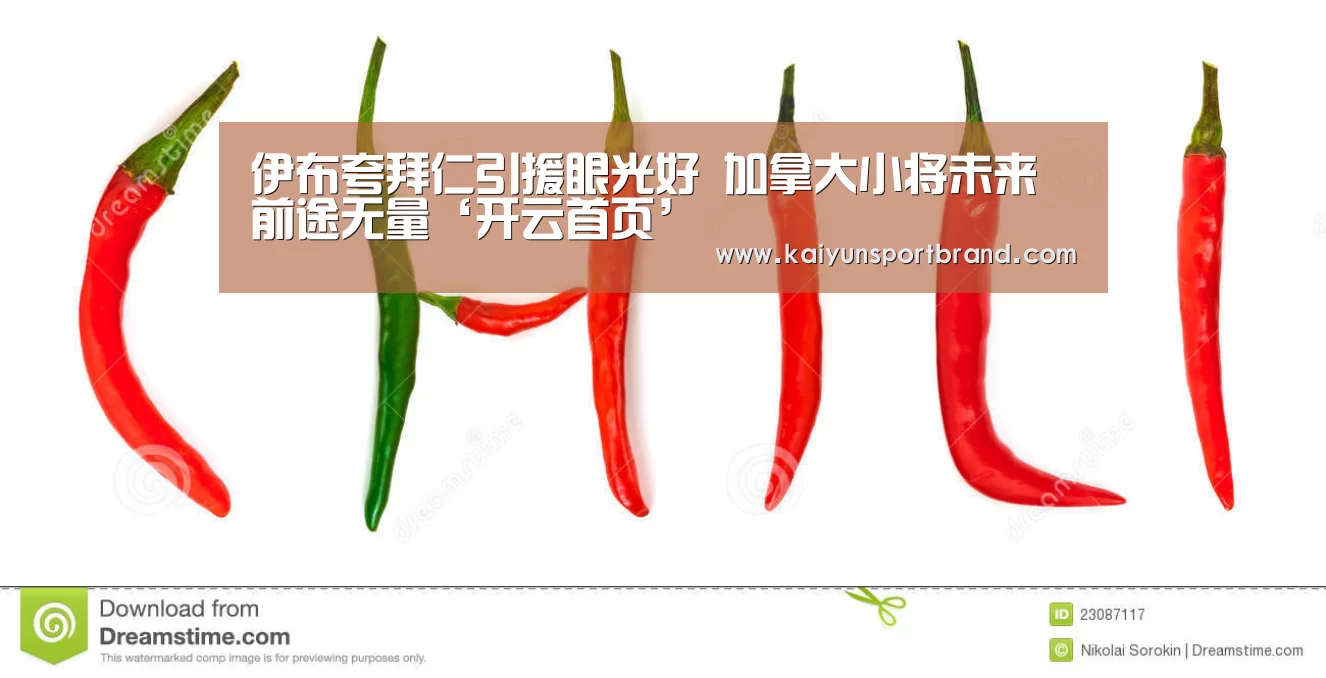 伊布夸拜仁引援眼光好 加拿大小将未来前途无量‘开云首页’(图1) 开云官网