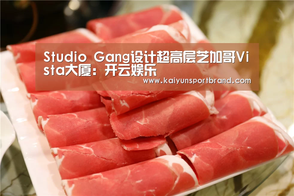 Studio Gang设计超高层芝加哥Vista大厦:开云娱乐(图3) 开云体育