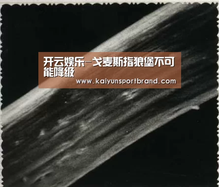 开云娱乐-戈麦斯指狼堡不可能降级(图3) 开云体育